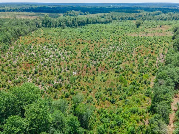 $280,000 | 0 Black Creek, Mount Croghan, SC 29727