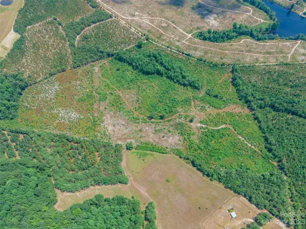 $280,000 | 0 Black Creek, Mount Croghan, SC 29727