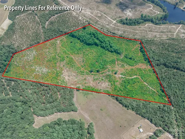 $280,000 | 0 Black Creek, Mount Croghan, SC 29727