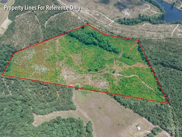 $280,000 | 0 Black Creek, Mount Croghan, SC 29727