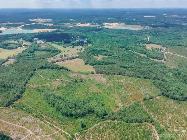 $280,000 | 0 Black Creek, Mount Croghan, SC 29727