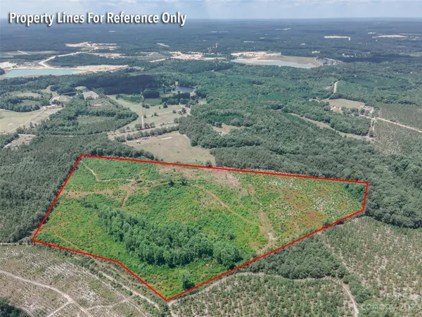 $280,000 | 0 Black Creek, Mount Croghan, SC 29727