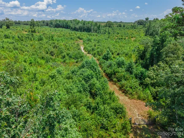 $280,000 | 0 Black Creek, Mount Croghan, SC 29727