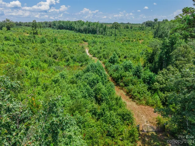 $280,000 | 0 Black Creek, Mount Croghan, SC 29727