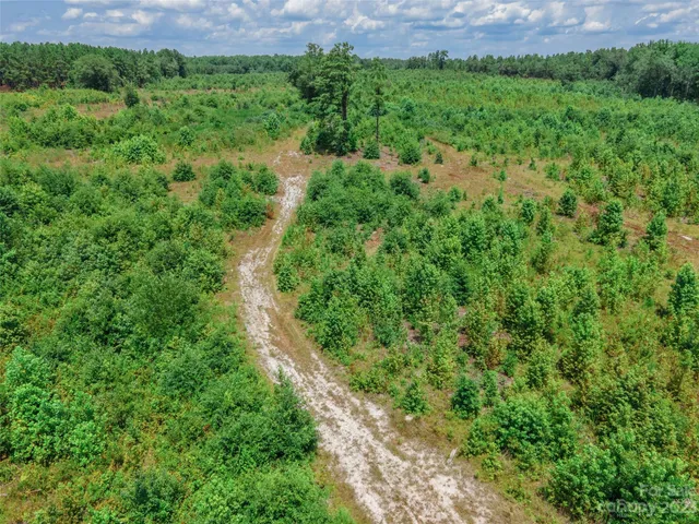 $280,000 | 0 Black Creek, Mount Croghan, SC 29727