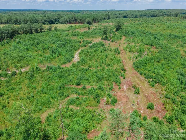 $280,000 | 0 Black Creek, Mount Croghan, SC 29727