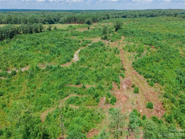 $280,000 | 0 Black Creek, Mount Croghan, SC 29727