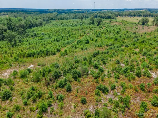 $280,000 | 0 Black Creek, Mount Croghan, SC 29727