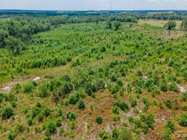 $280,000 | 0 Black Creek, Mount Croghan, SC 29727