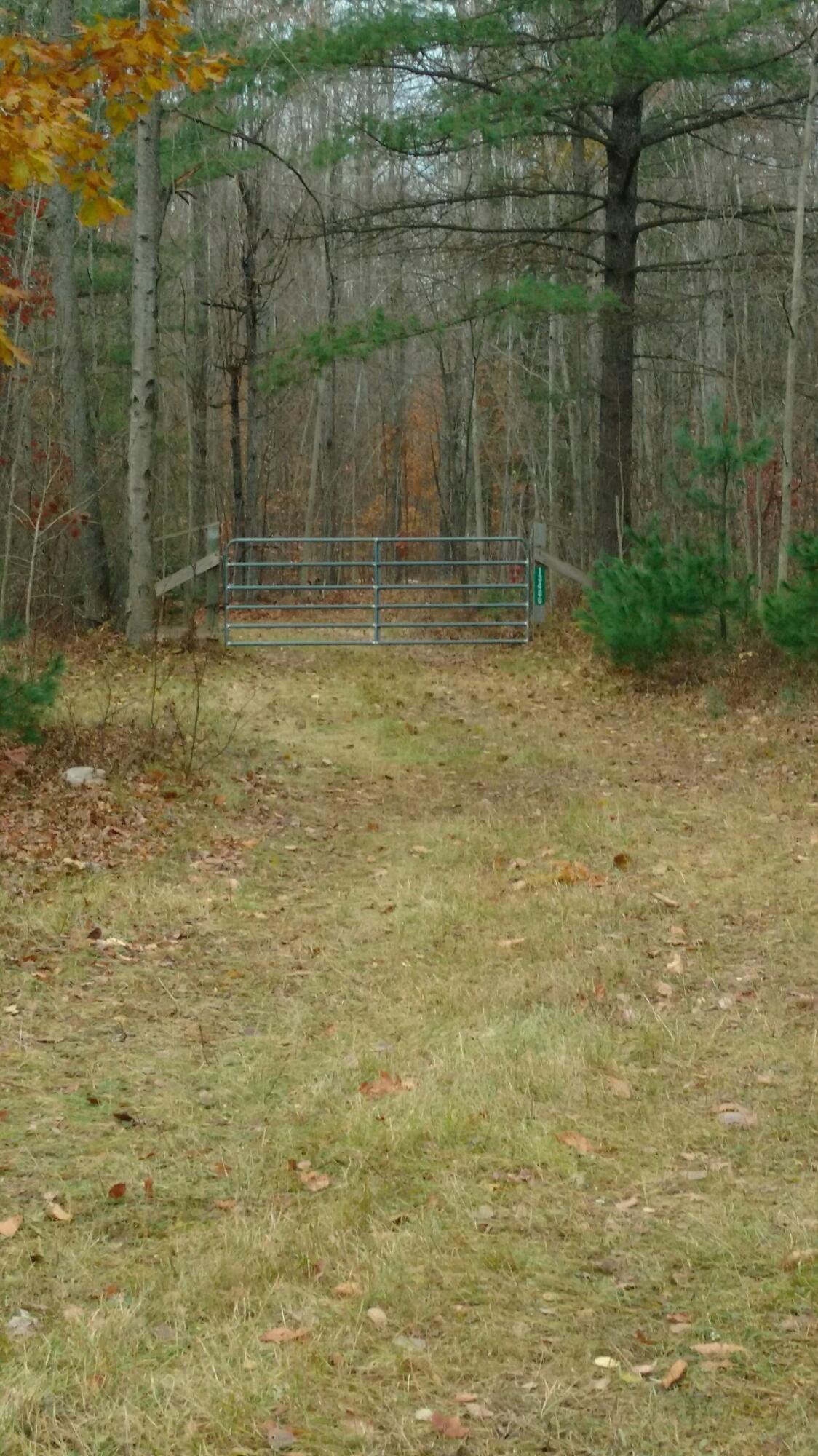 13460 Brown Road Atlanta, MI 49709 - Photo 12 of 21 Gallery Image 12