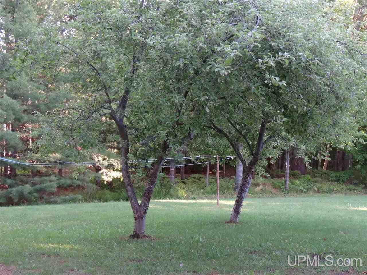 21880 Creamery Road Chassell, MI 49916 - Photo 16 of 25 Gallery Image 16