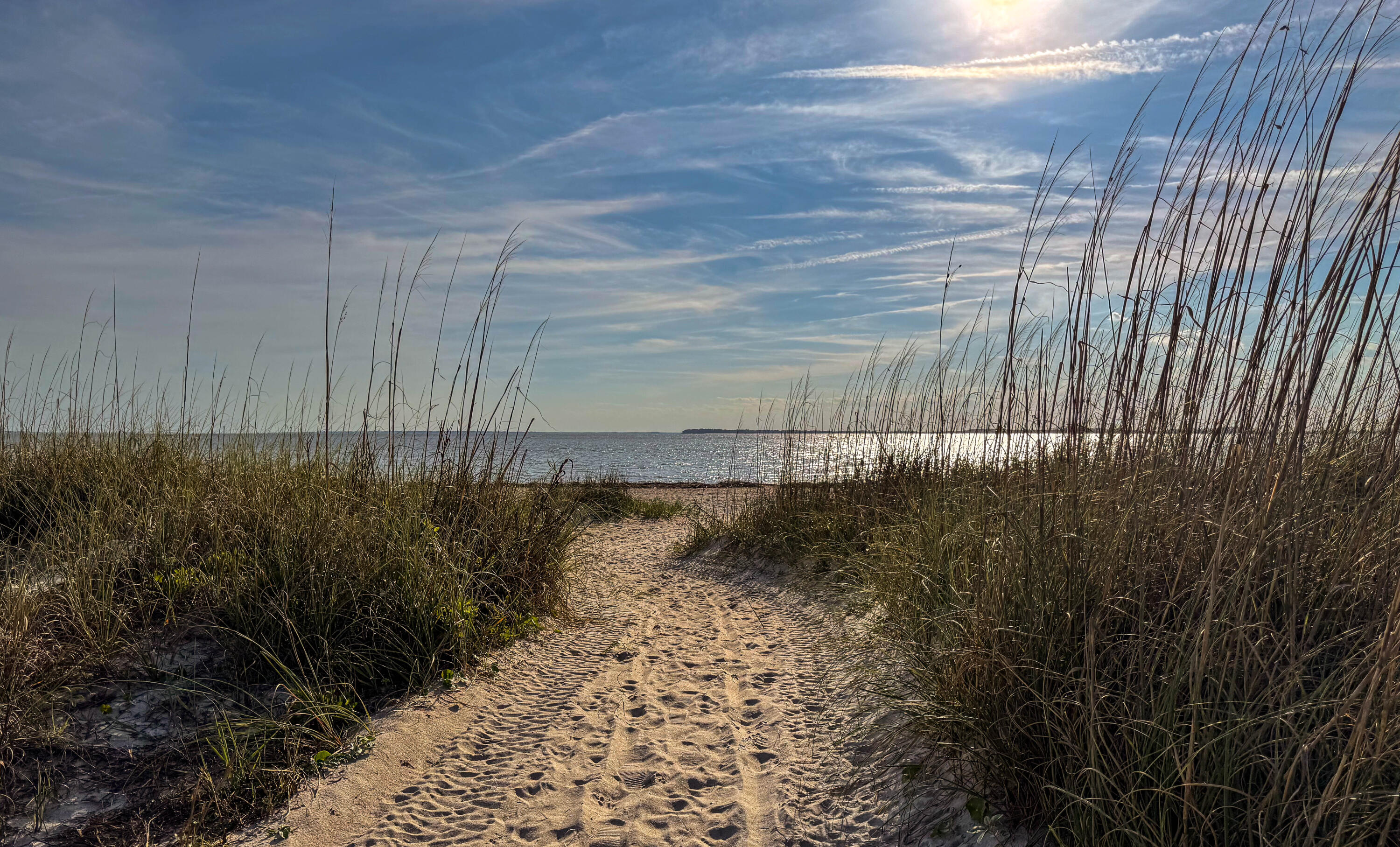 3303 Fort Street Edisto Island, SC 29438 - Photo 3 of 27 Fort-Lot-31