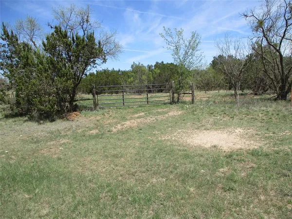 a view of a yard with trees