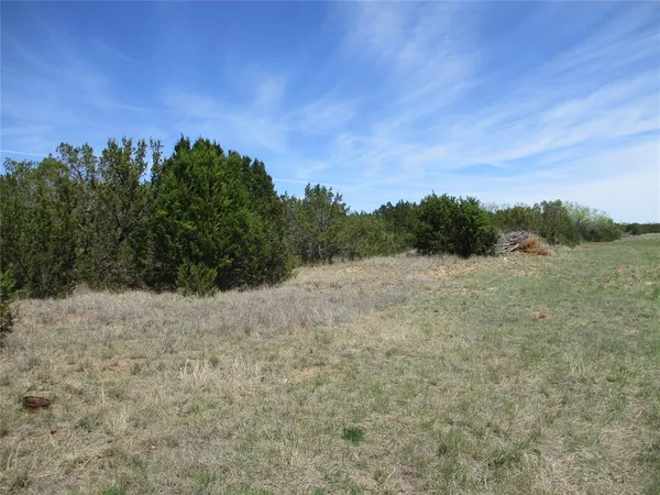 a view of a field with an ocean
