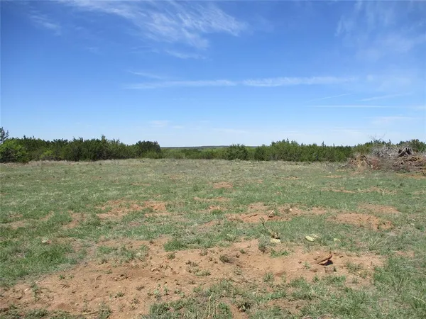 a view of a field with trees in background