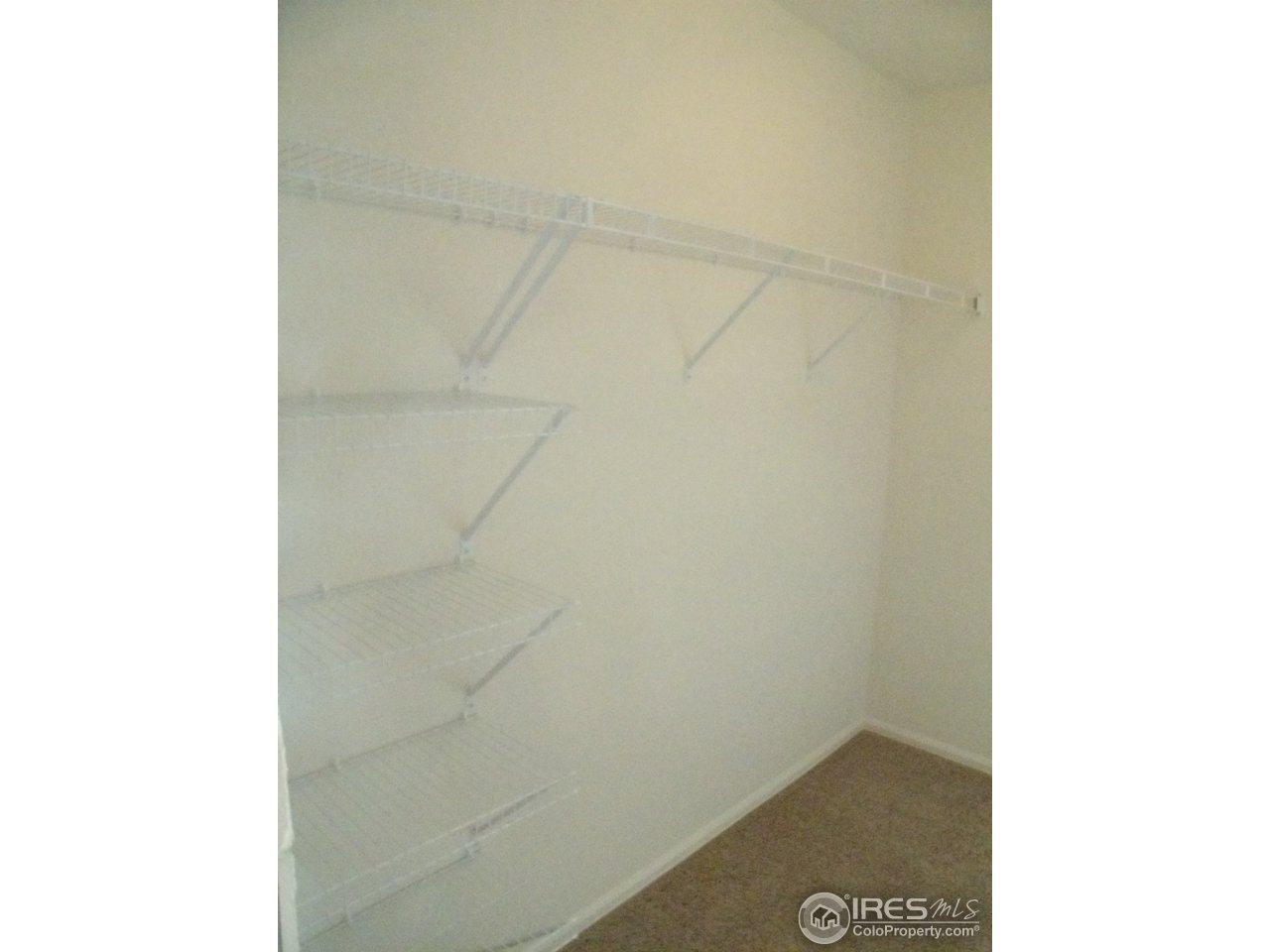 527 Stoney Brook Road Fort Collins, CO 80525 - Photo 16 of 17 Gallery Image 16