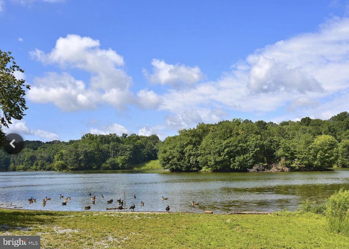 8141 Needwood Road, Unit T103 Derwood, MD 20855 - Photo 57 of 58 Lake Needwood