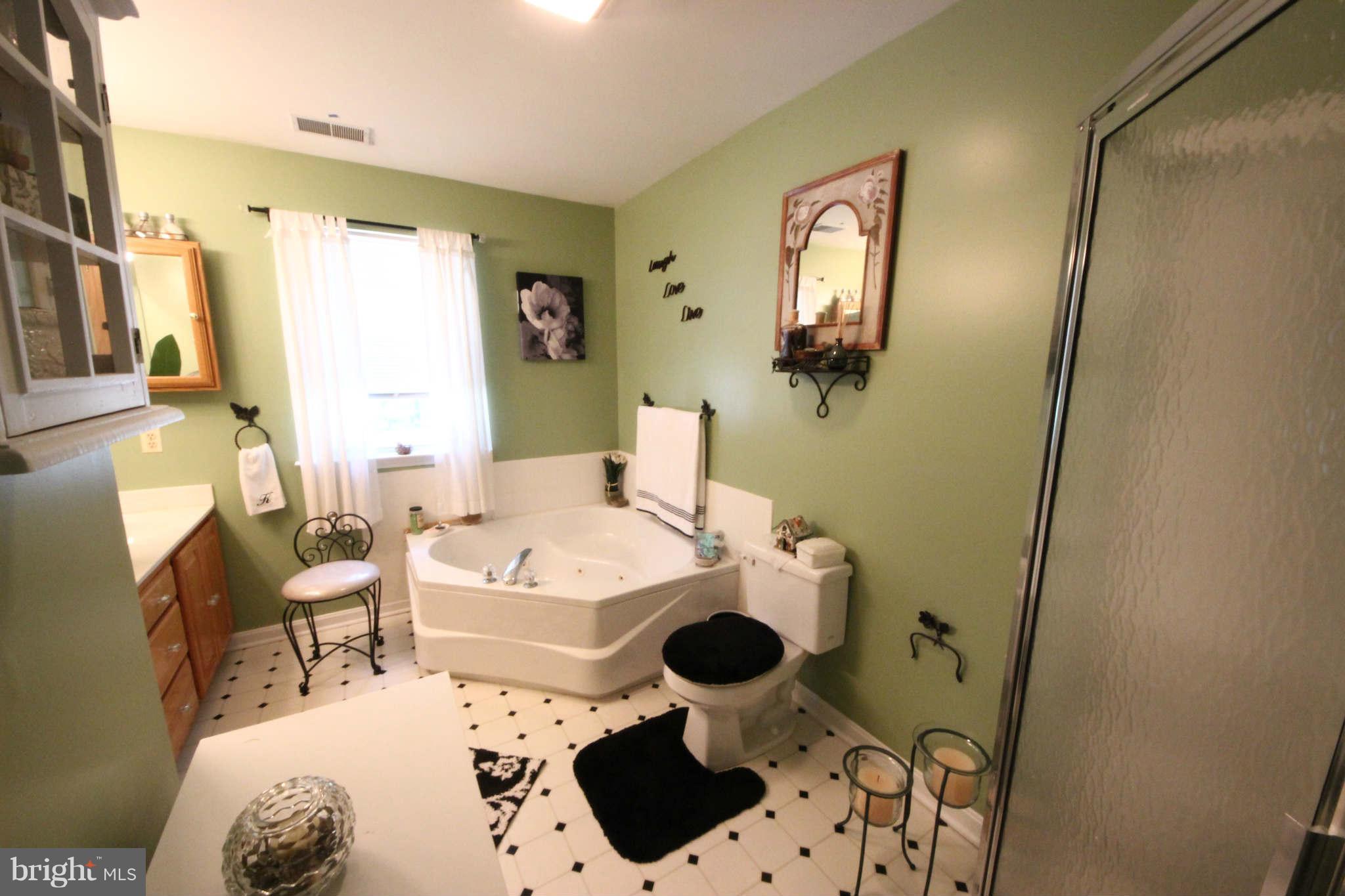 83 Yew Road Baltimore, MD 21221 - Photo 16 of 28 Bath (Master)
