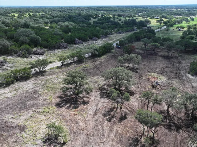 a view of a forest with a street