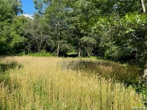 1 North Milford Road Highland, MI 48357 - Photo 3 of 11