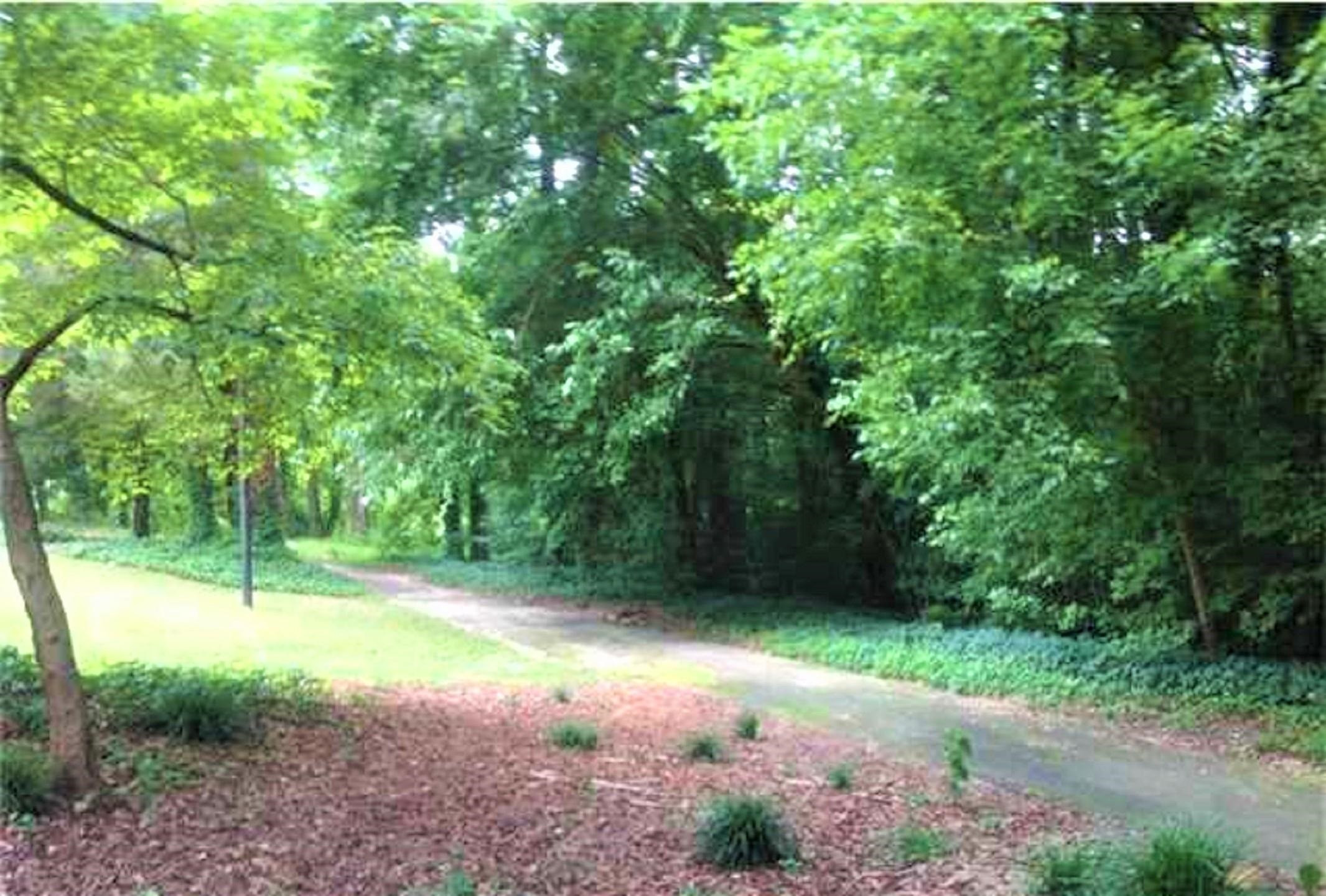 5052 Flint Ridge Place, Unit 5052 Raleigh, NC 27609 - Photo 61 of 67 Photo 61