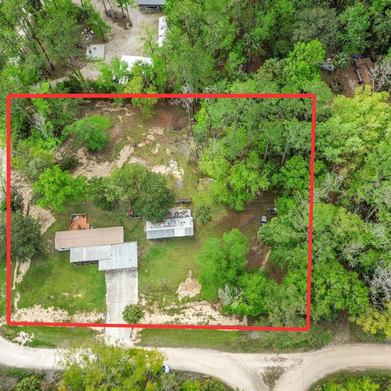 3650 176 Place Inglis, FL 34449 - Photo 3 of 52 a view of a garden with flowers and plants