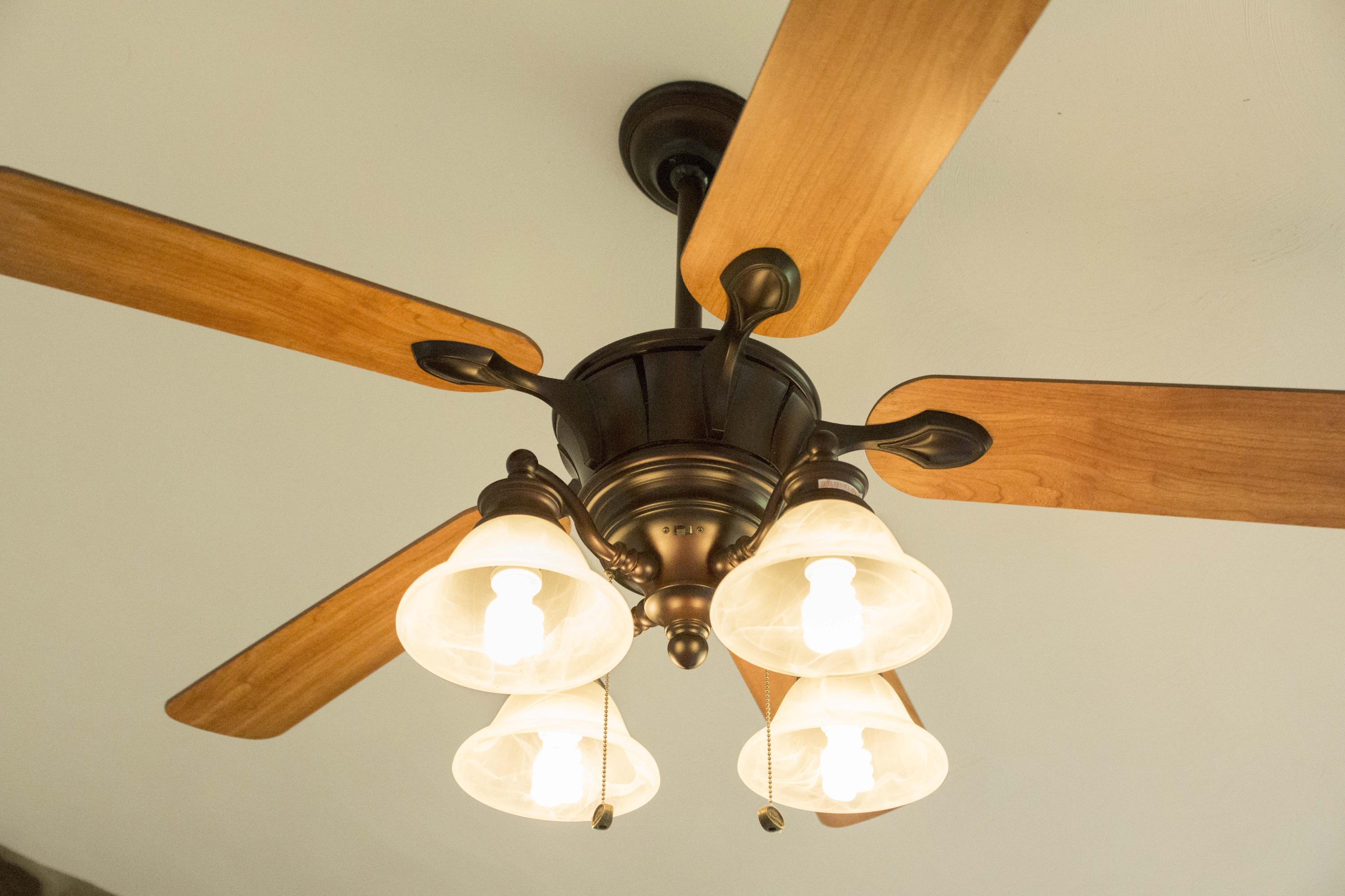 3175 Hales Ford Road Moneta, VA 24121 - Photo 11 of 30 Fan/lighting Great Room