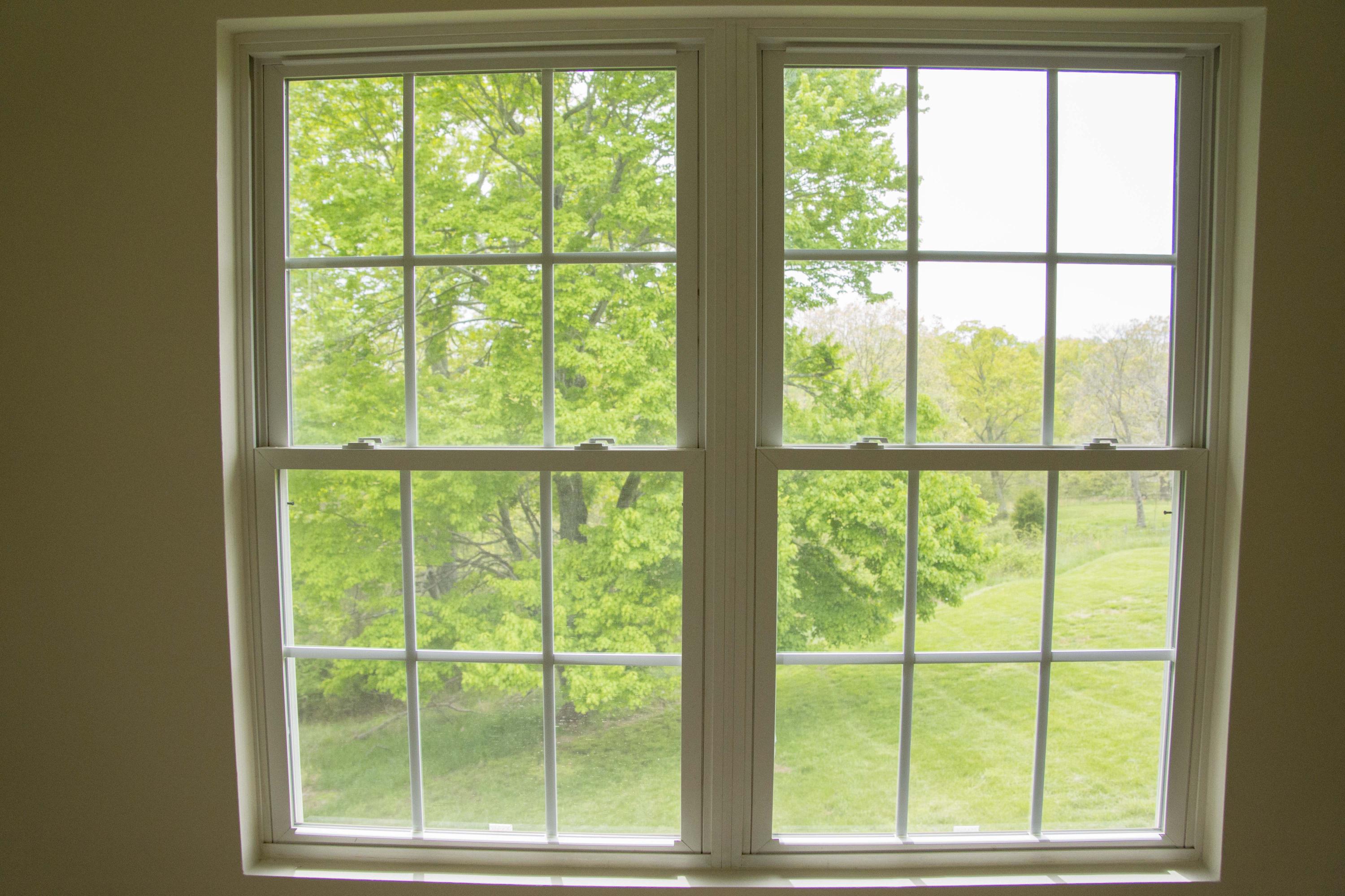 3175 Hales Ford Road Moneta, VA 24121 - Photo 16 of 30 Tilt-in Windows