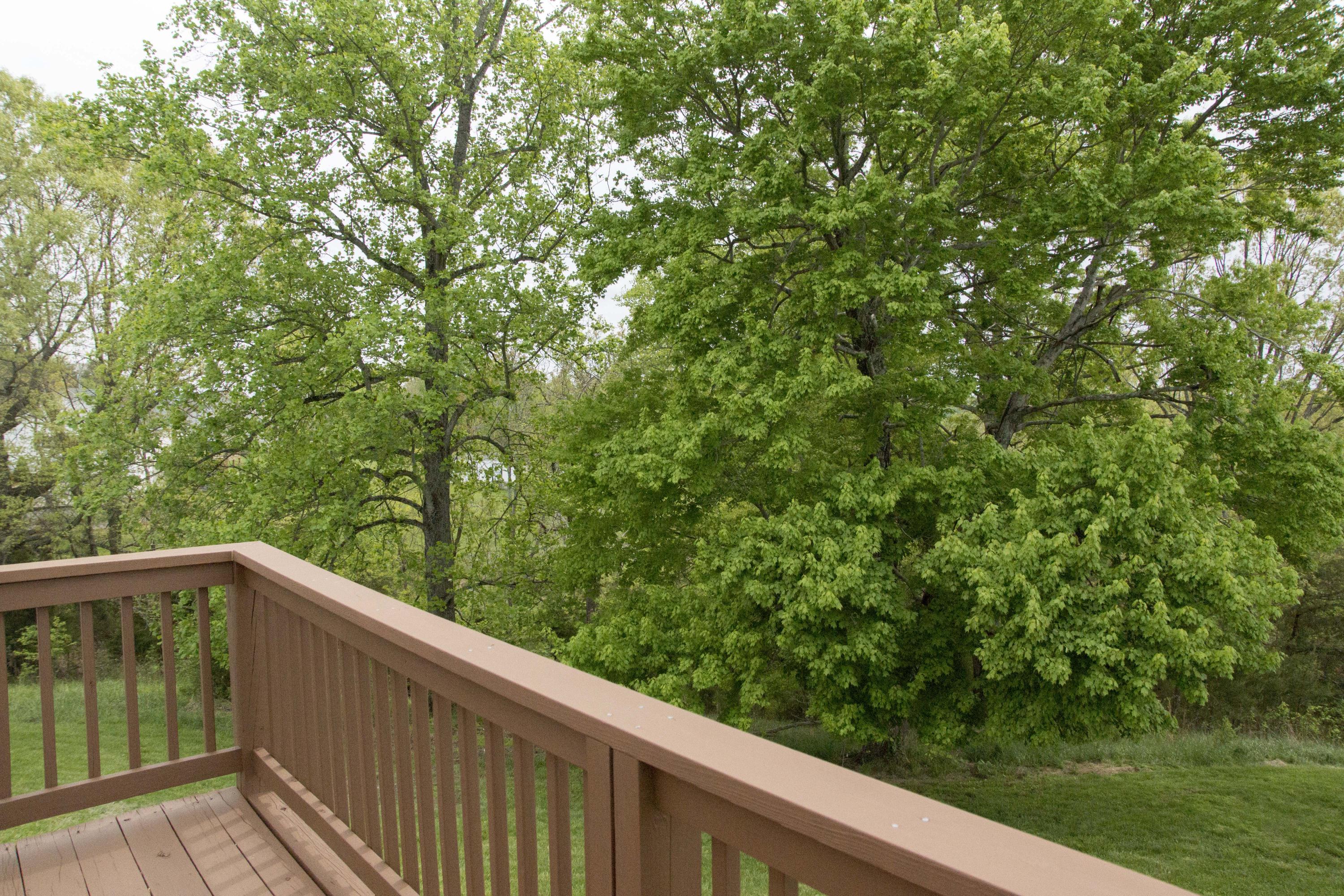 3175 Hales Ford Road Moneta, VA 24121 - Photo 27 of 30 Lush back yard area!