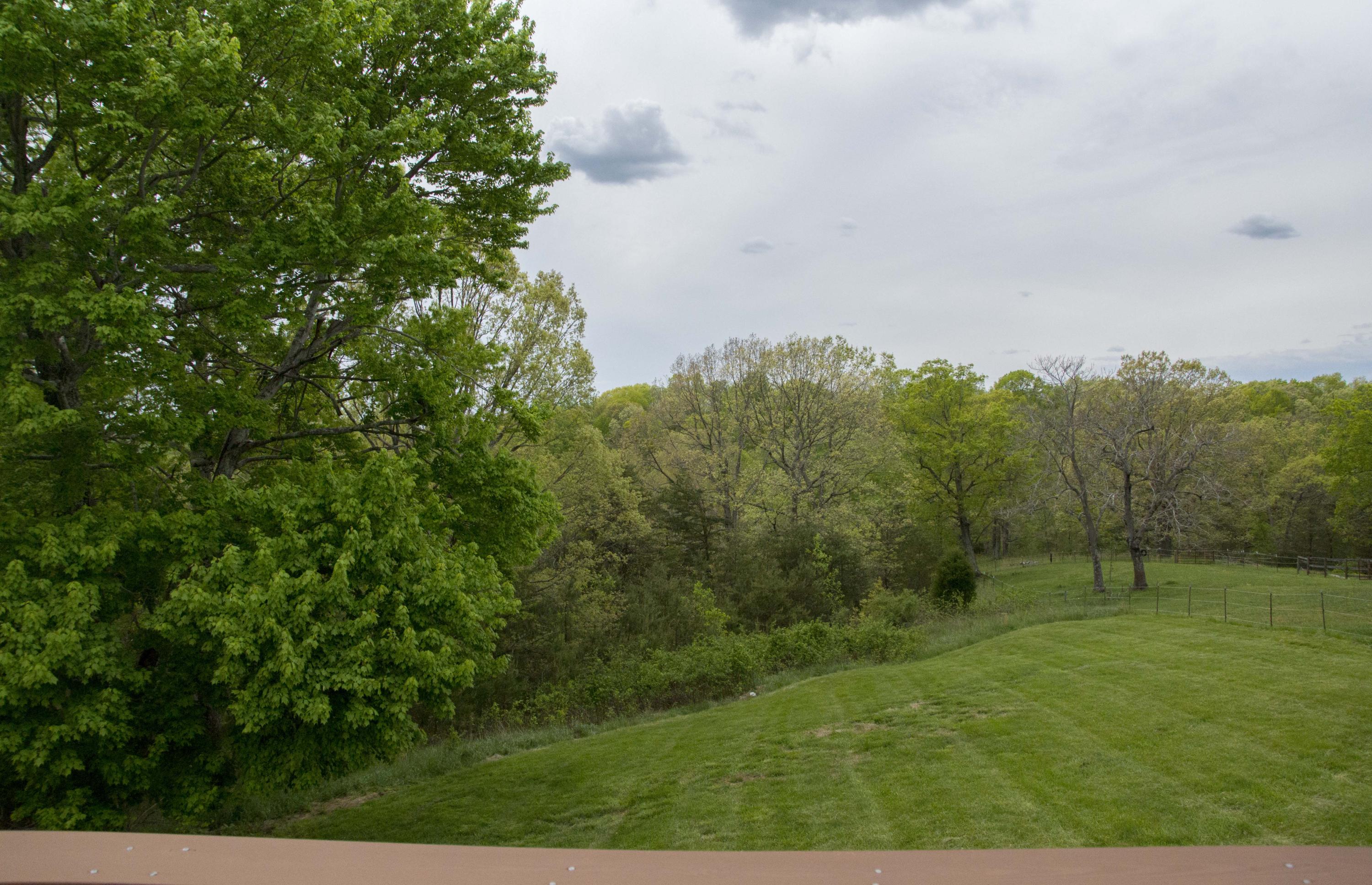 3175 Hales Ford Road Moneta, VA 24121 - Photo 29 of 30 Room to play or garden!