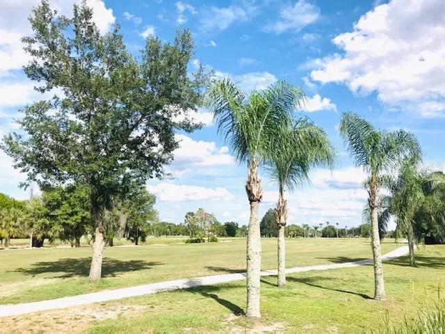 a view of a yard with swimming pool