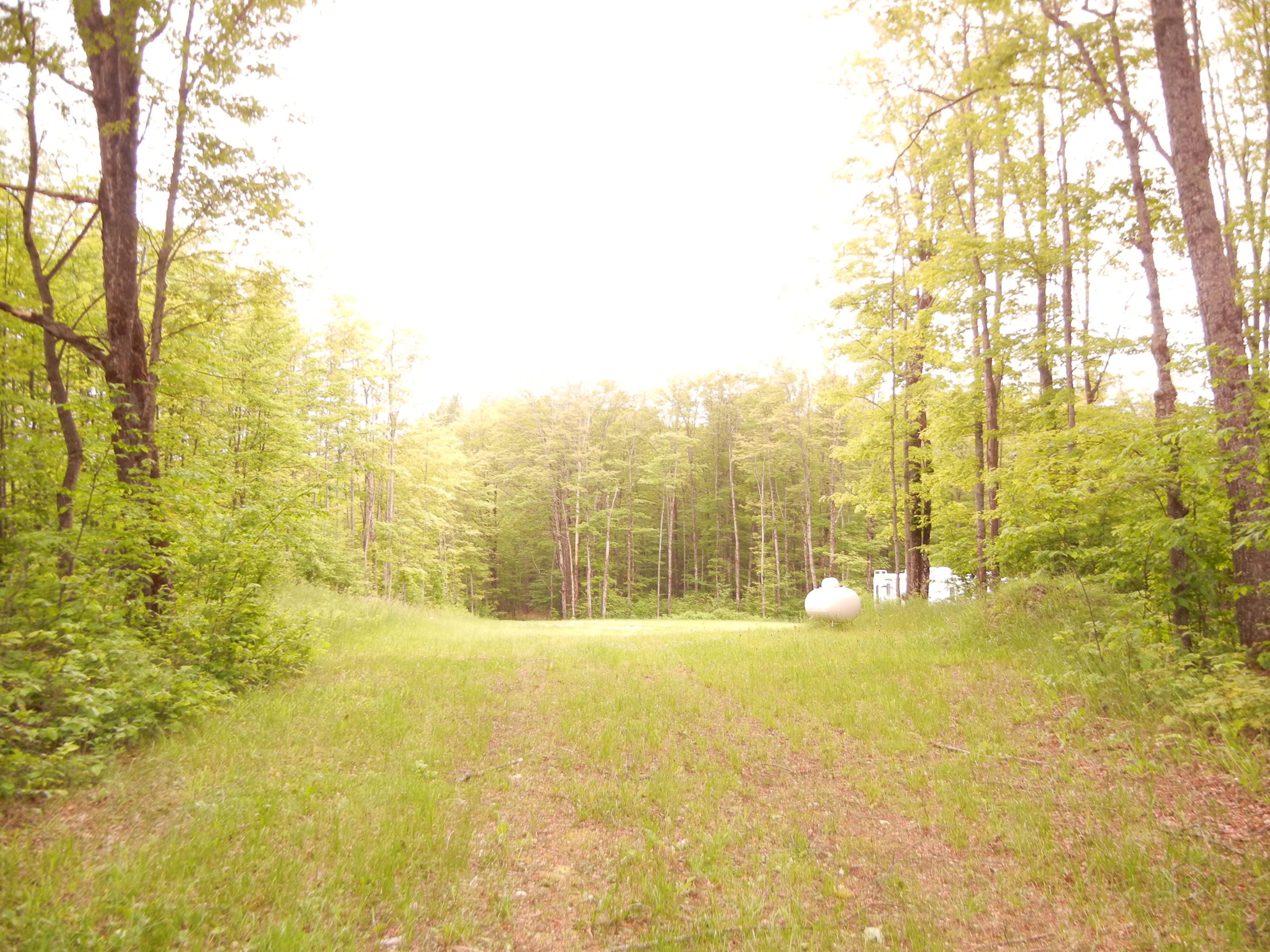 5529 Saint Ignace Road Hessel, MI 49745 - Photo 2 of 6 Gallery Image 2