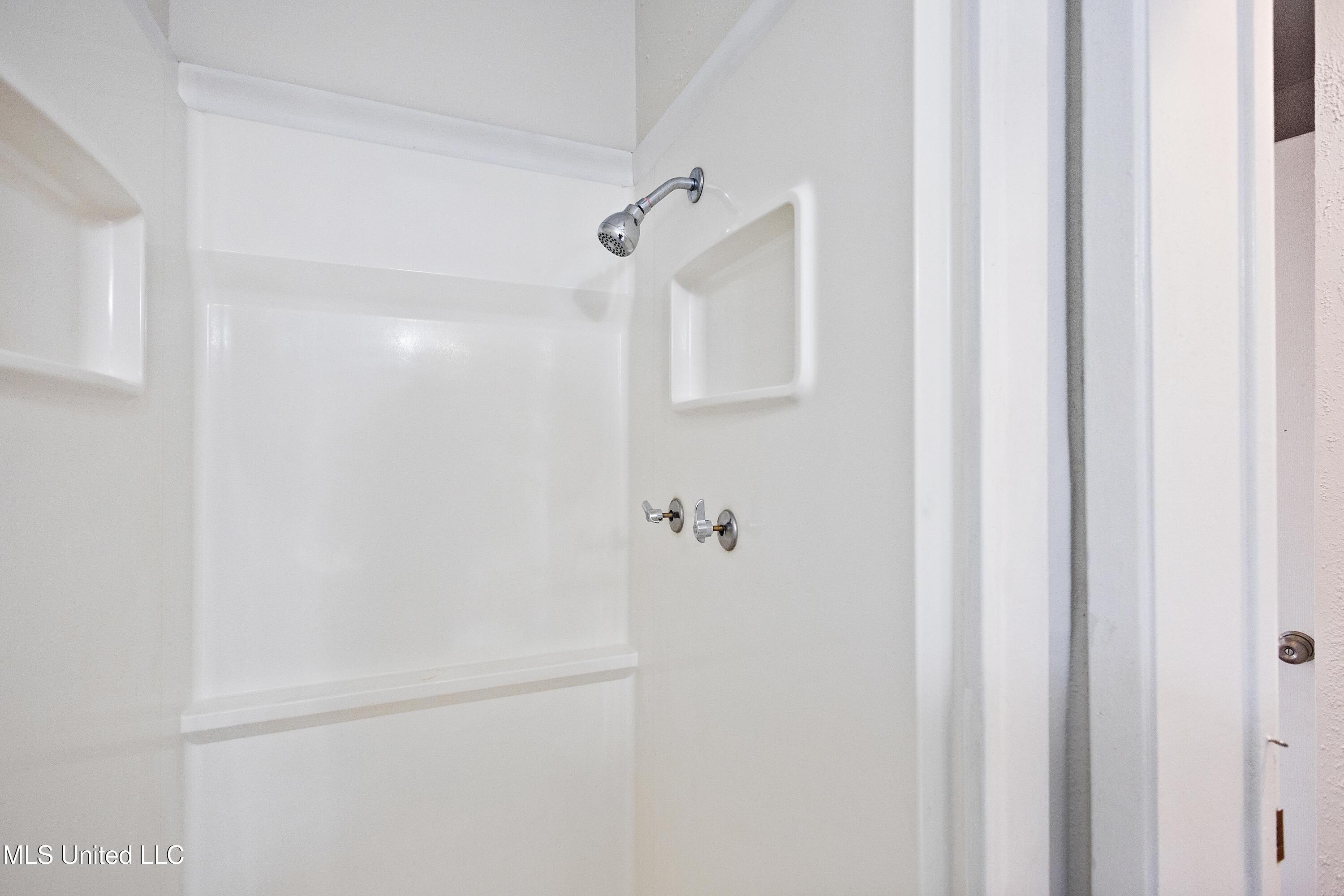 1013 Windrose Drive Brandon, MS 39047 - Photo 13 of 18 IMG_4347