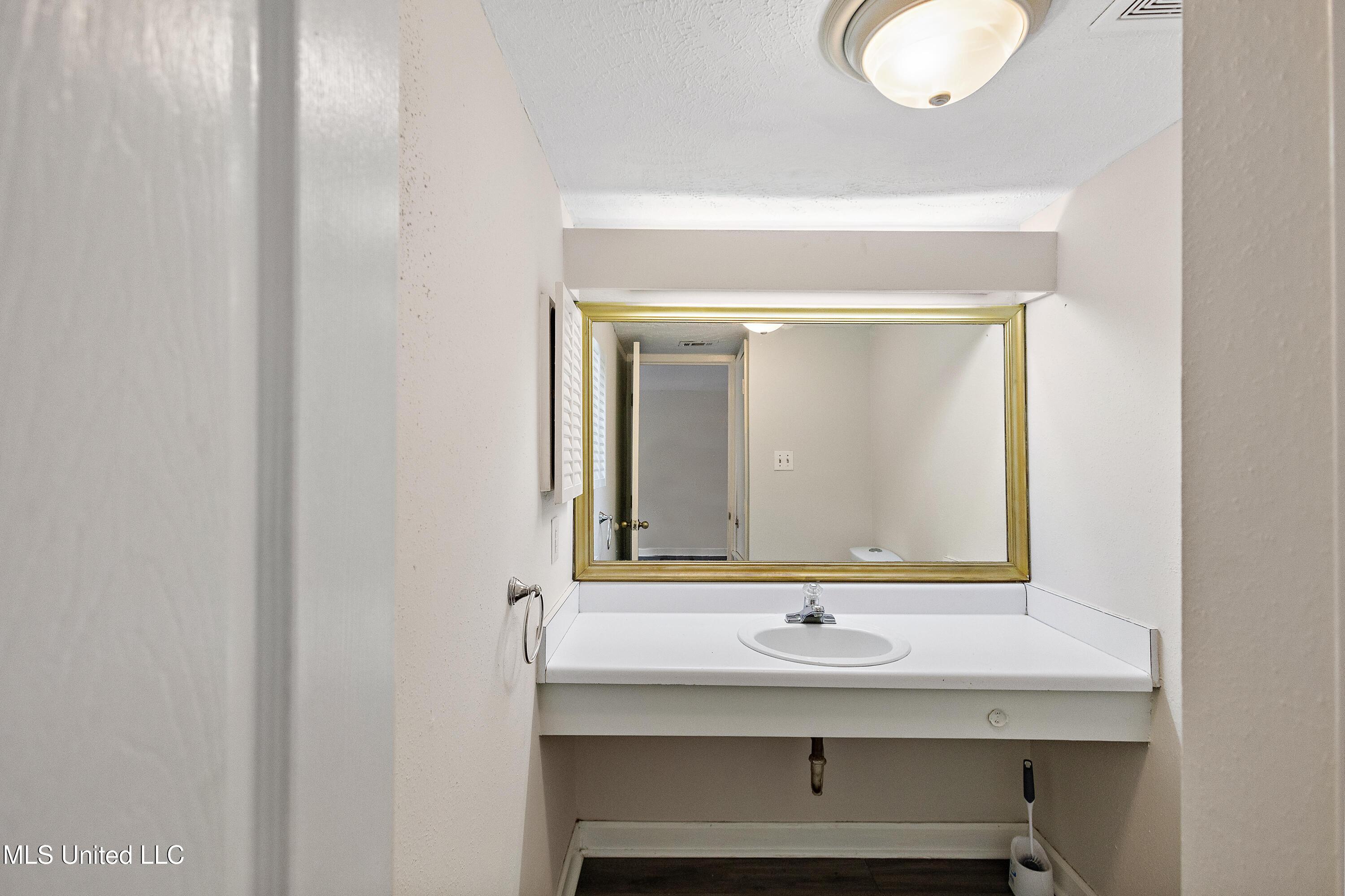 1013 Windrose Drive Brandon, MS 39047 - Photo 16 of 18 IMG_4350