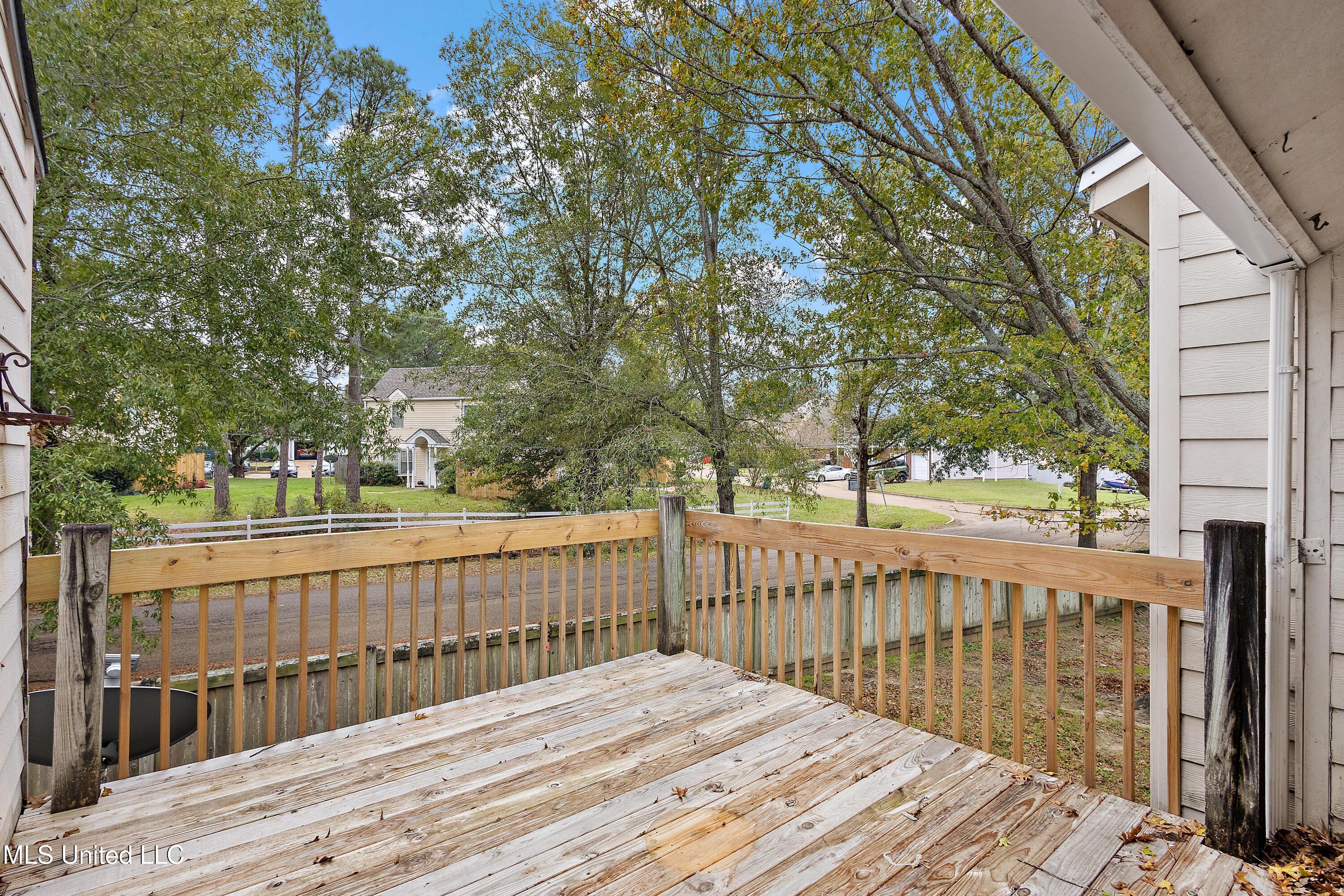 1013 Windrose Drive Brandon, MS 39047 - Photo 18 of 18 IMG_4352