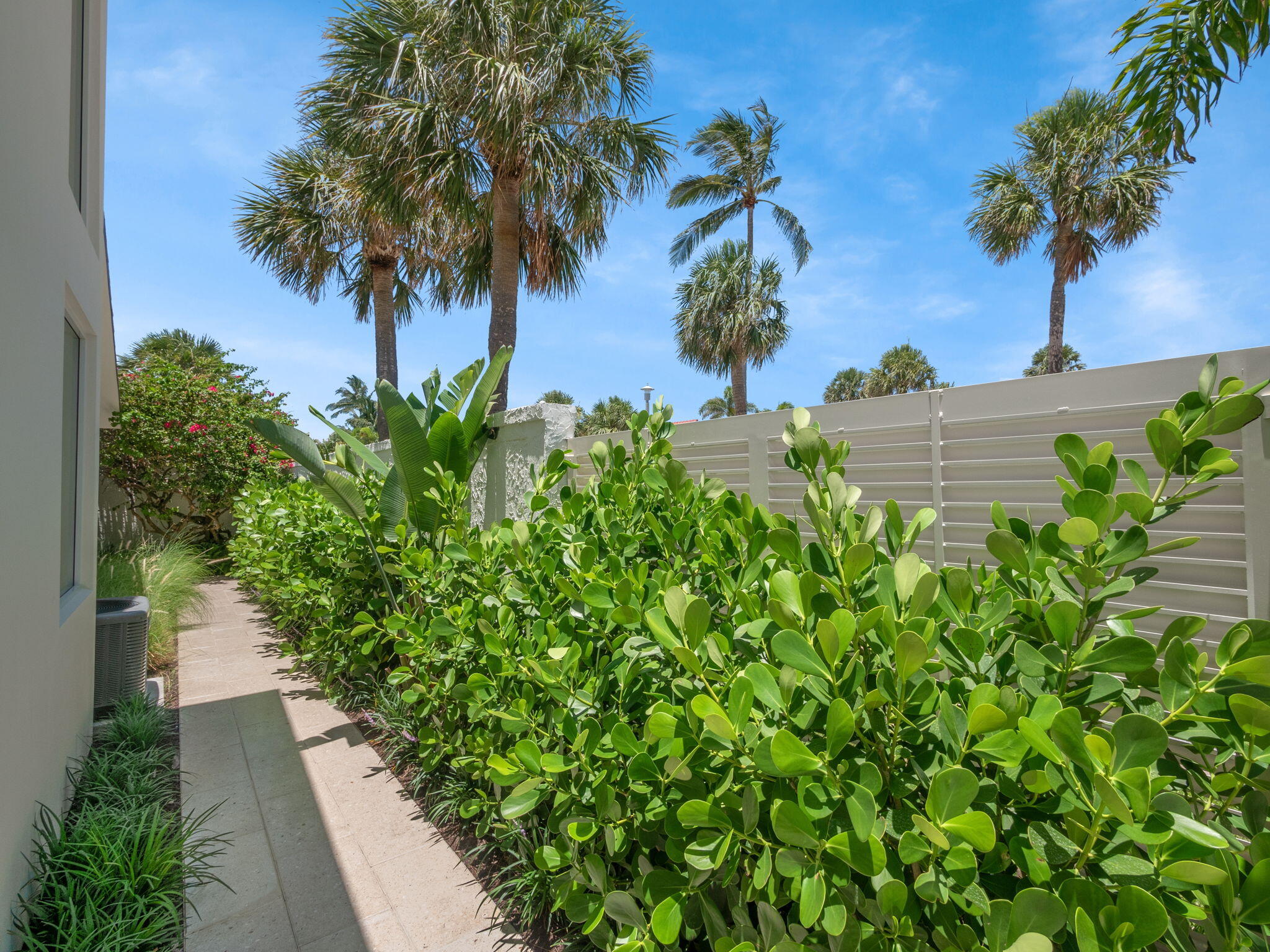 105 Bonefish Circle Jupiter, FL 33477 - Photo 37 of 56 Tropical Side Yard!