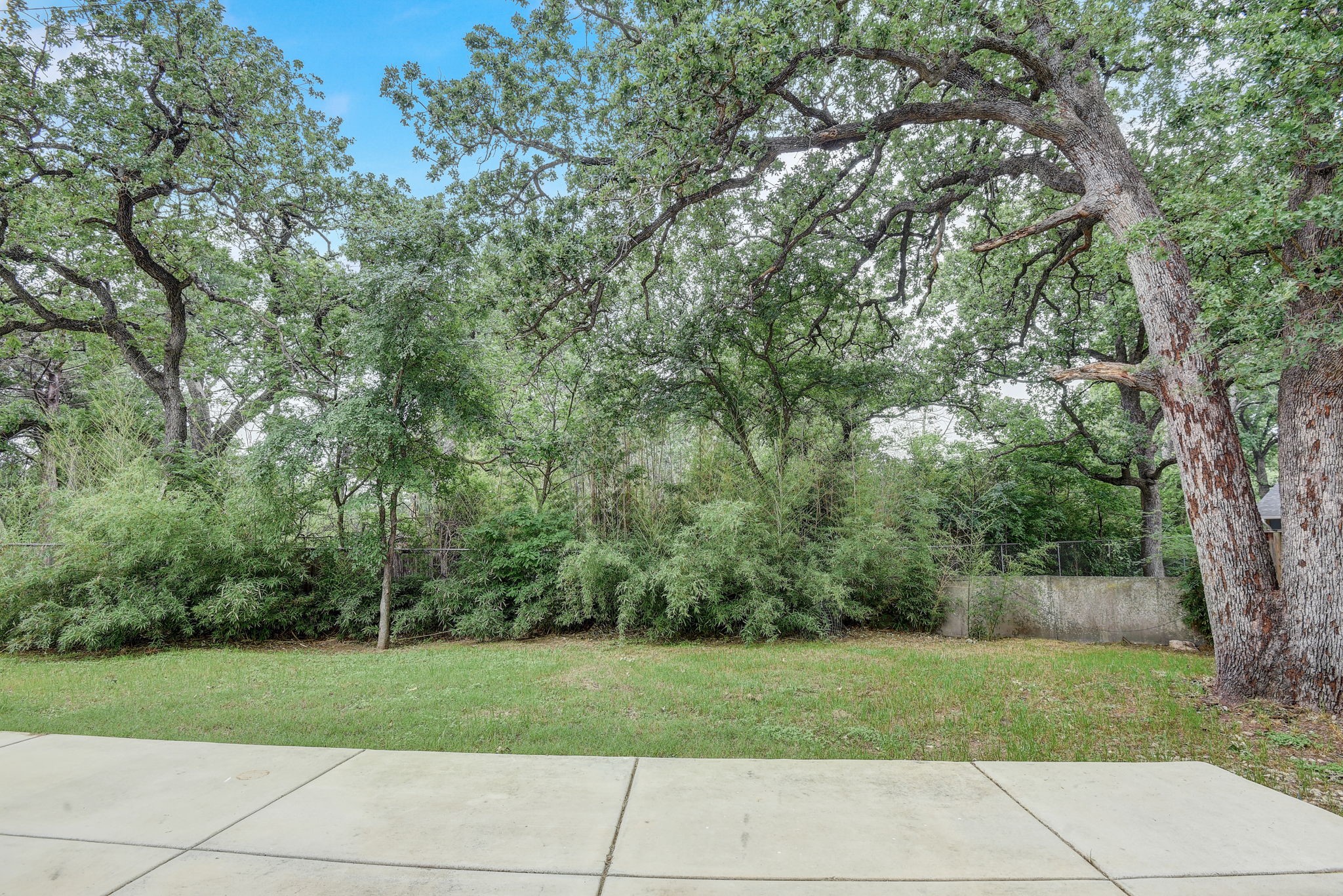 2507 Rogge Lane, Unit 2 Austin, TX 78723 - Photo 29 of 30 a view of a park with large trees