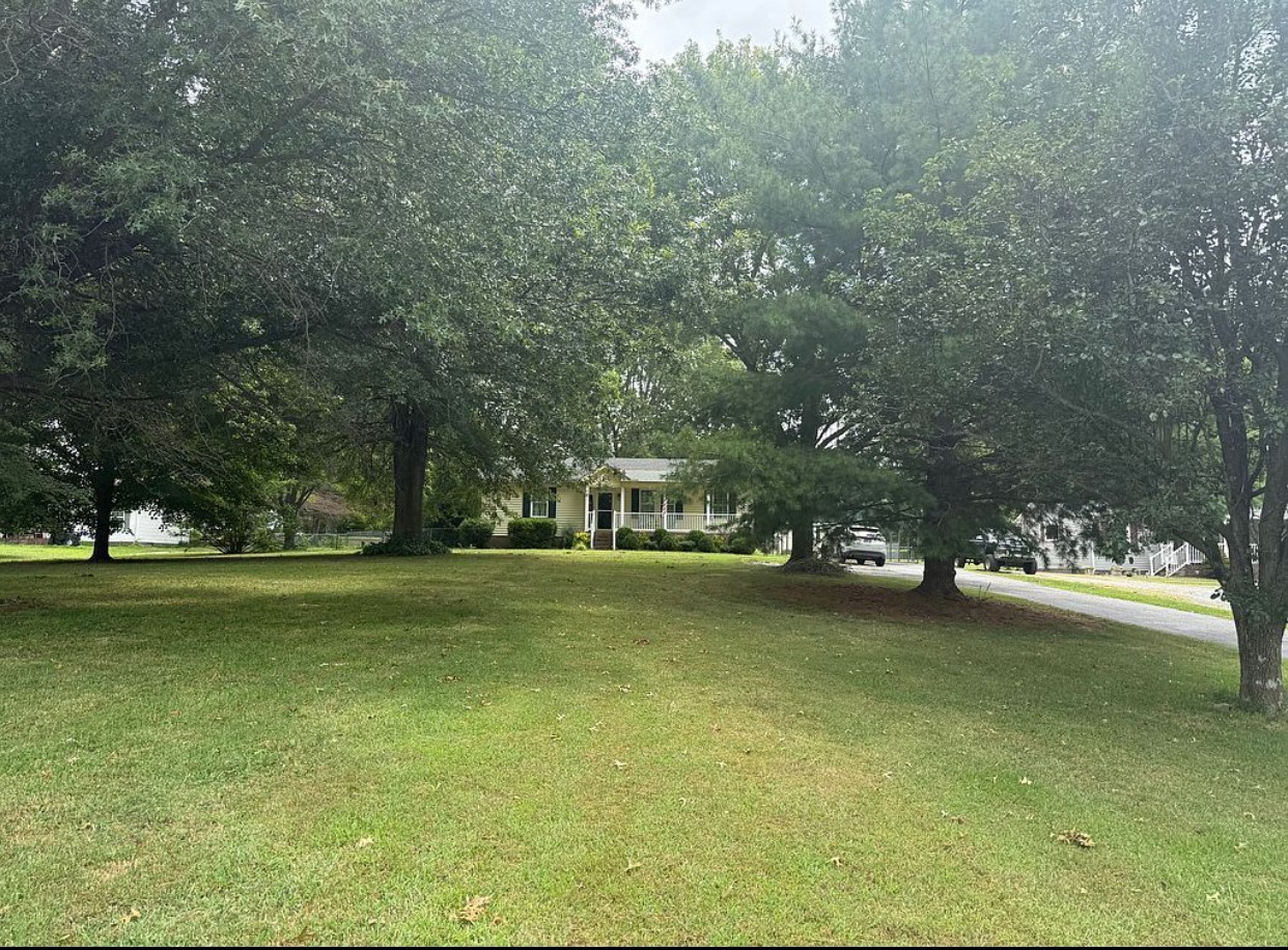 6489 Old Highway 431 South Springfield, TN 37172 - Photo 4 of 21 a view of a trees in front of a building