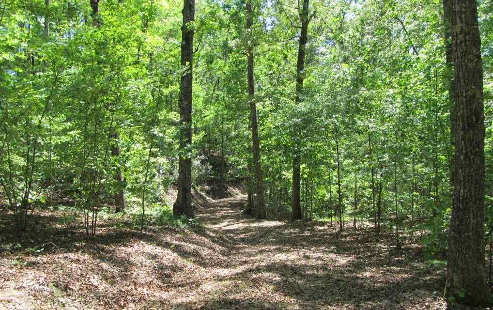 416 Old Shallowford Bridge Road, Unit LOT 86 Sunset, SC 29685 - Photo 9 of 9 Gallery Image 9