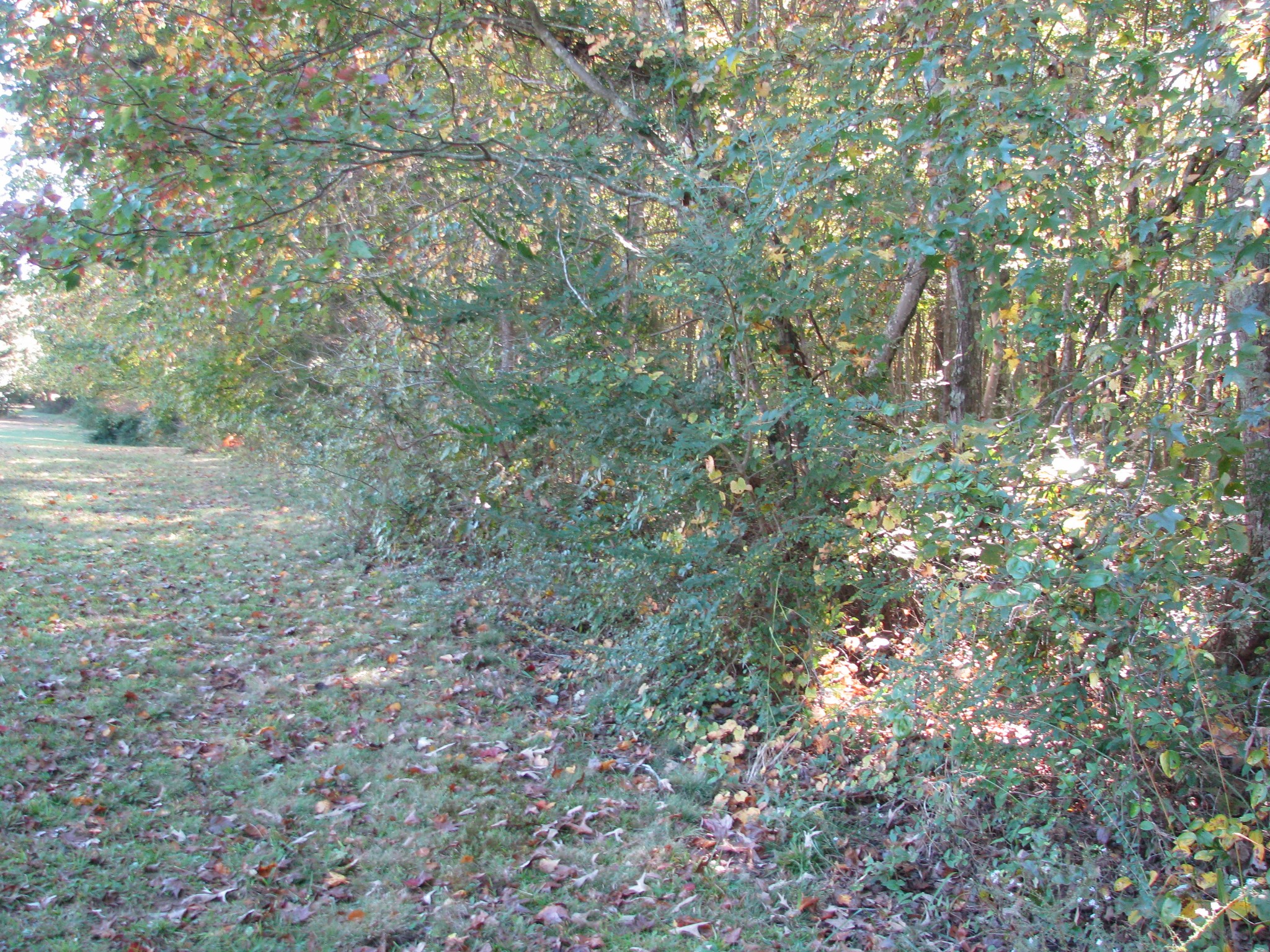 0 Hargis Road McEwen, TN 37101 - Photo 11 of 15 Gallery Image 11