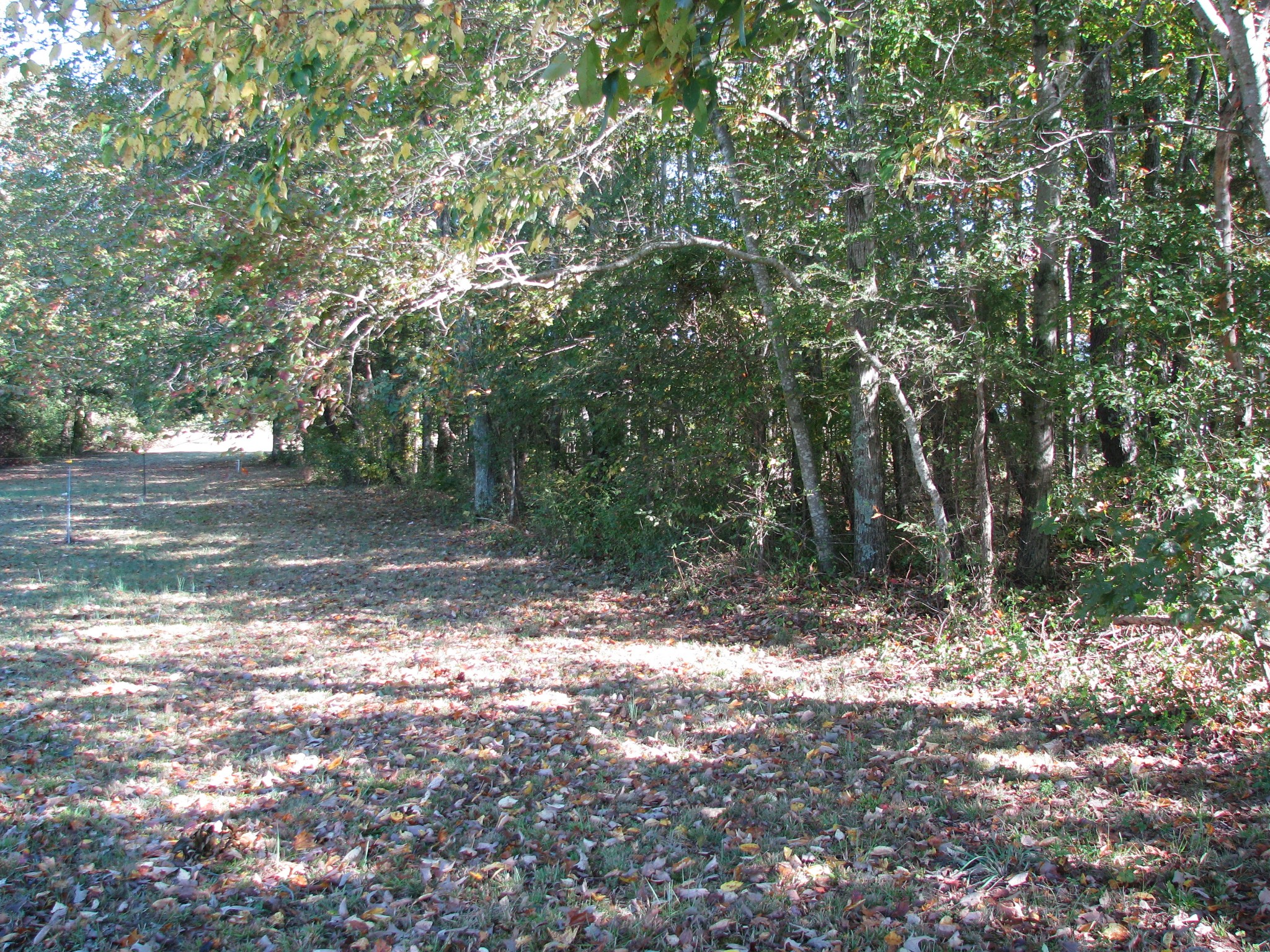 0 Hargis Road McEwen, TN 37101 - Photo 5 of 15 Gallery Image 5