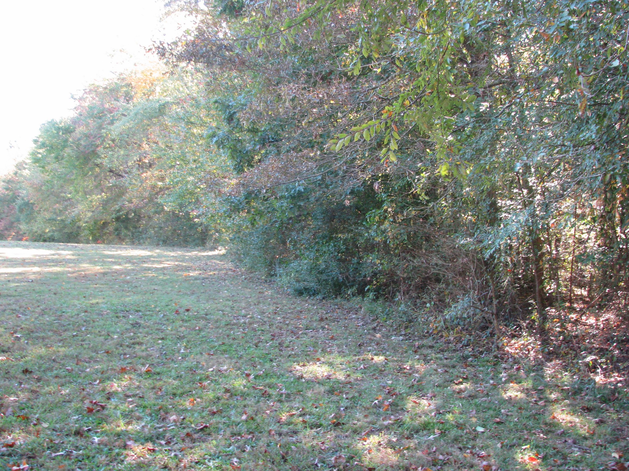 0 Hargis Road McEwen, TN 37101 - Photo 7 of 15 Gallery Image 7