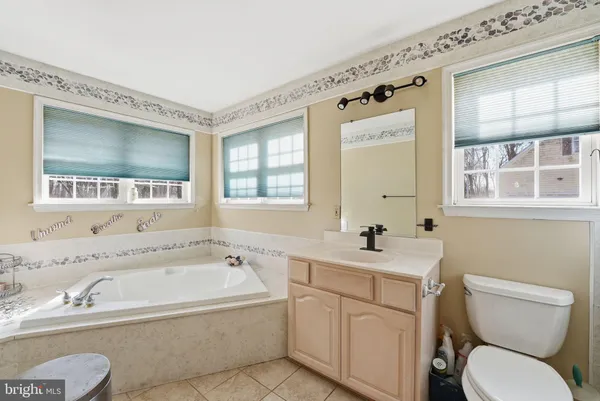 a bathroom with a sink mirror vanity bathtub and a toilet