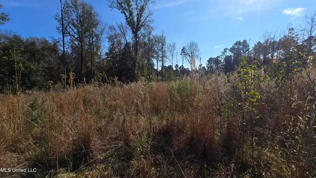 $325,000 | 134 Dale Drive, Hazlehurst, MS 39083