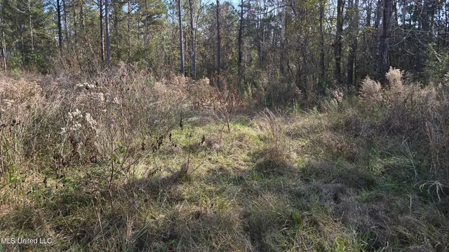 $325,000 | 134 Dale Drive, Hazlehurst, MS 39083