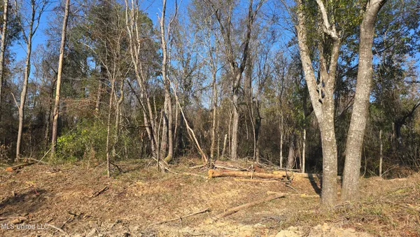 $325,000 | 134 Dale Drive, Hazlehurst, MS 39083