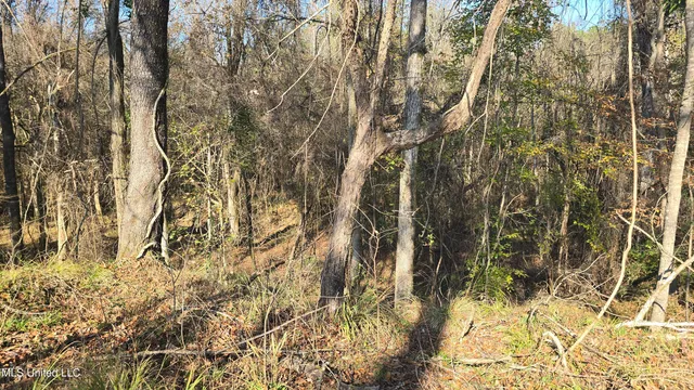 $325,000 | 134 Dale Drive, Hazlehurst, MS 39083