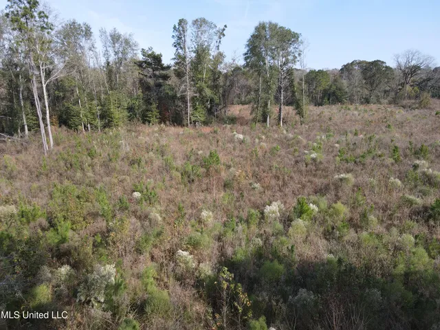 $325,000 | 134 Dale Drive, Hazlehurst, MS 39083