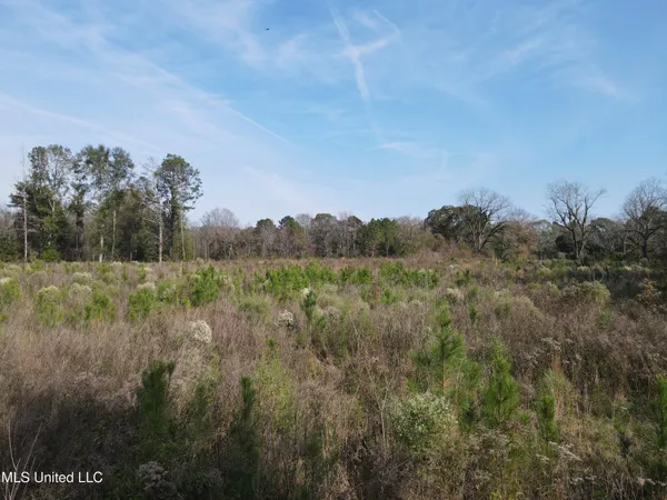 $325,000 | 134 Dale Drive, Hazlehurst, MS 39083