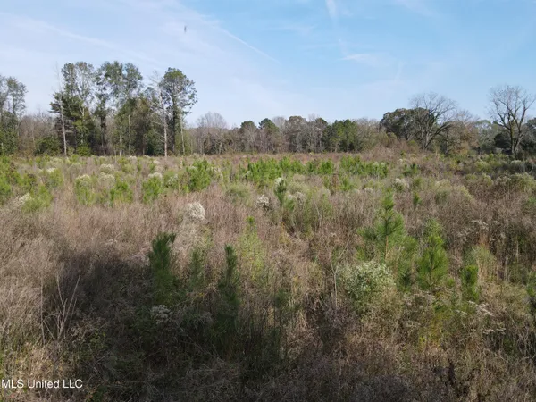 $325,000 | 134 Dale Drive, Hazlehurst, MS 39083